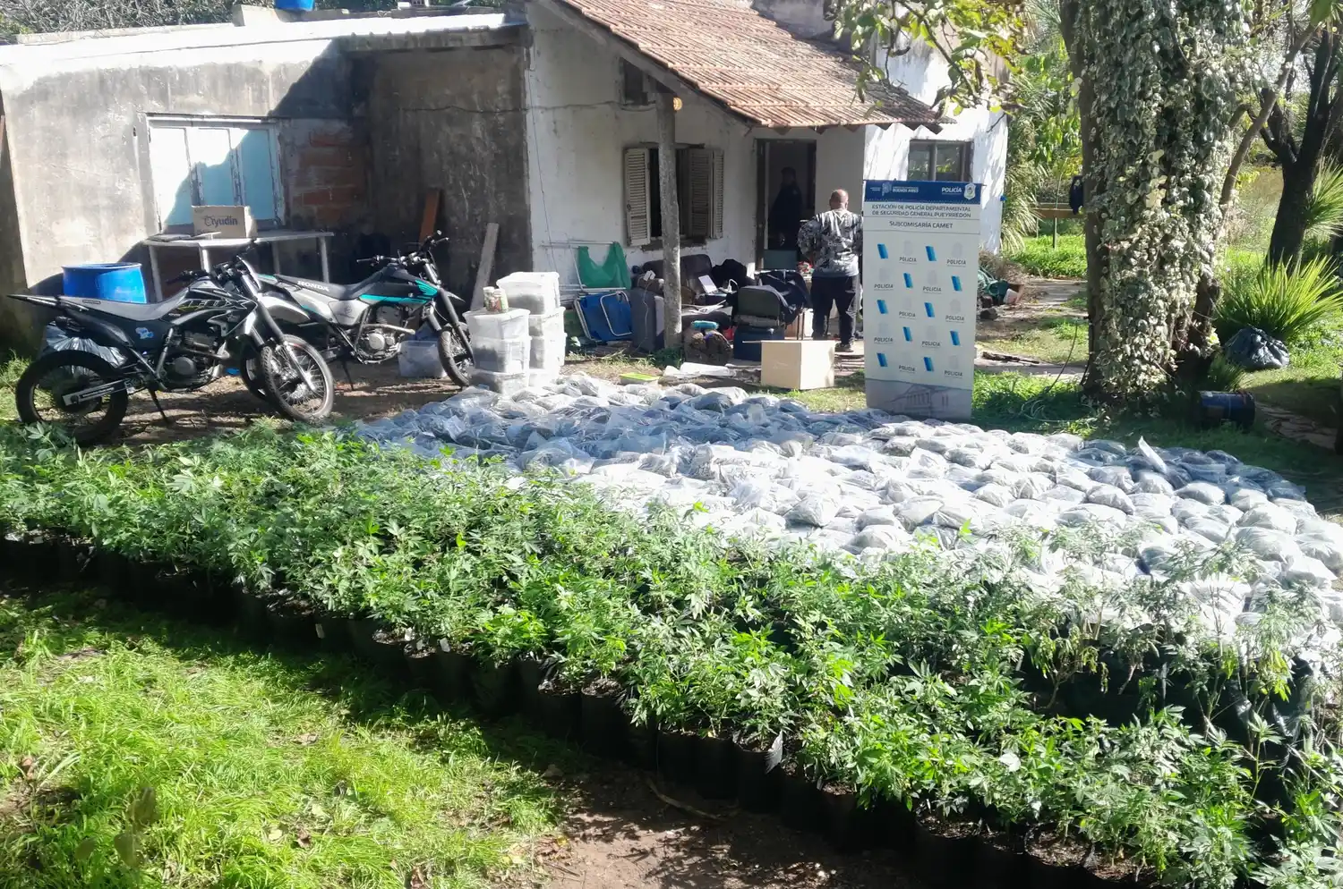 El operativo se realizó en un predio ubicado en Colonia Barragán.