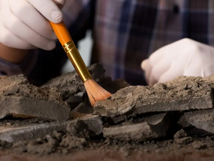 Gualeguaychú tendrá el primer Club de Arqueología del país