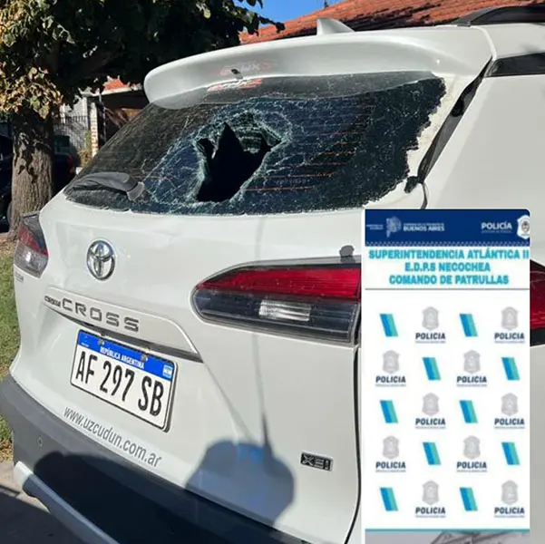 Golpeó e hirió de gravedad a una señora de 66 años