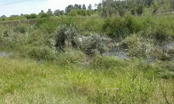 Tres empleados de Caminos del Río Uruguay salvaron a una pareja