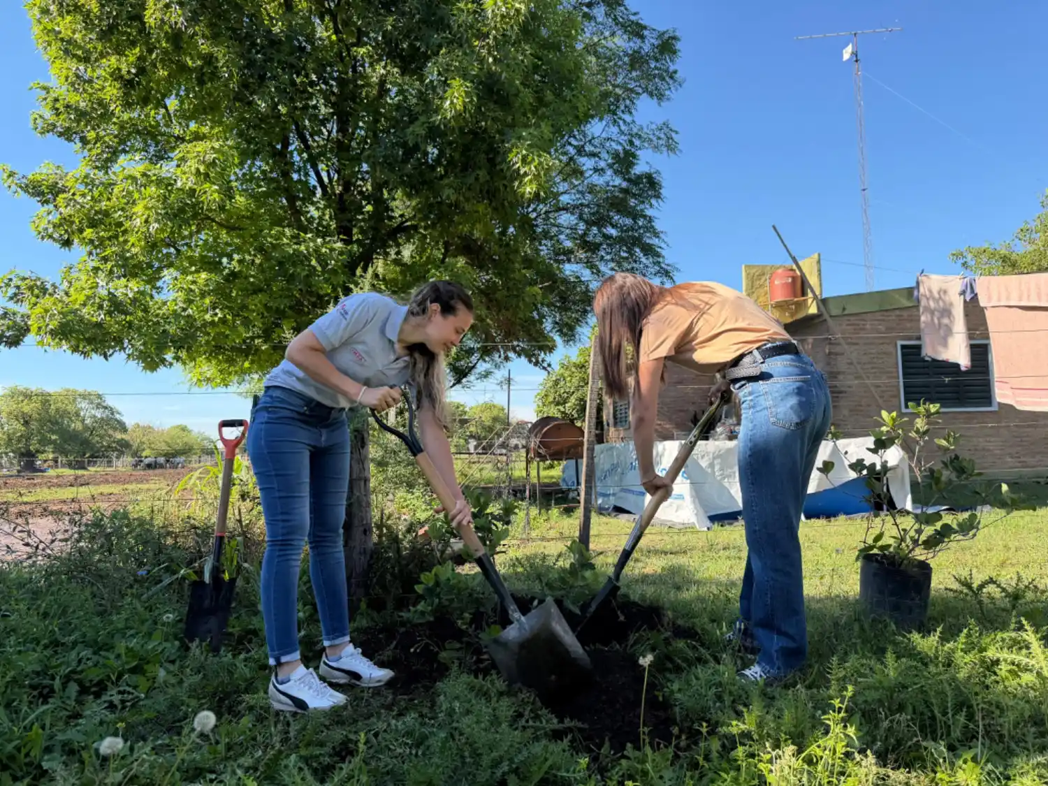 Plantan especies nativas, donadas por la firma Pagliaroli, en la Escuela Especial N.º 2082