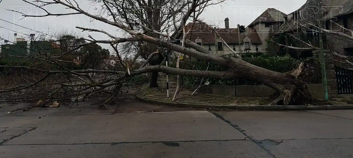 El intenso viento provocó voladuras de techo y caída de postes de luz