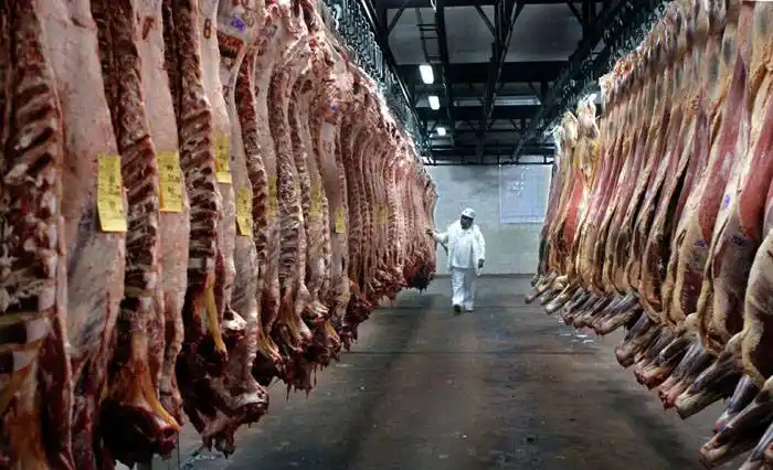 Bordet pide que se resuelva el tema de la exportación cárnica