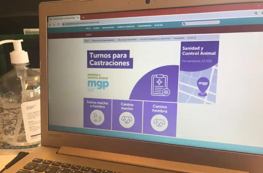 Desde este lunes, se puede solicitar turno para la castración de mascotas de manera on line