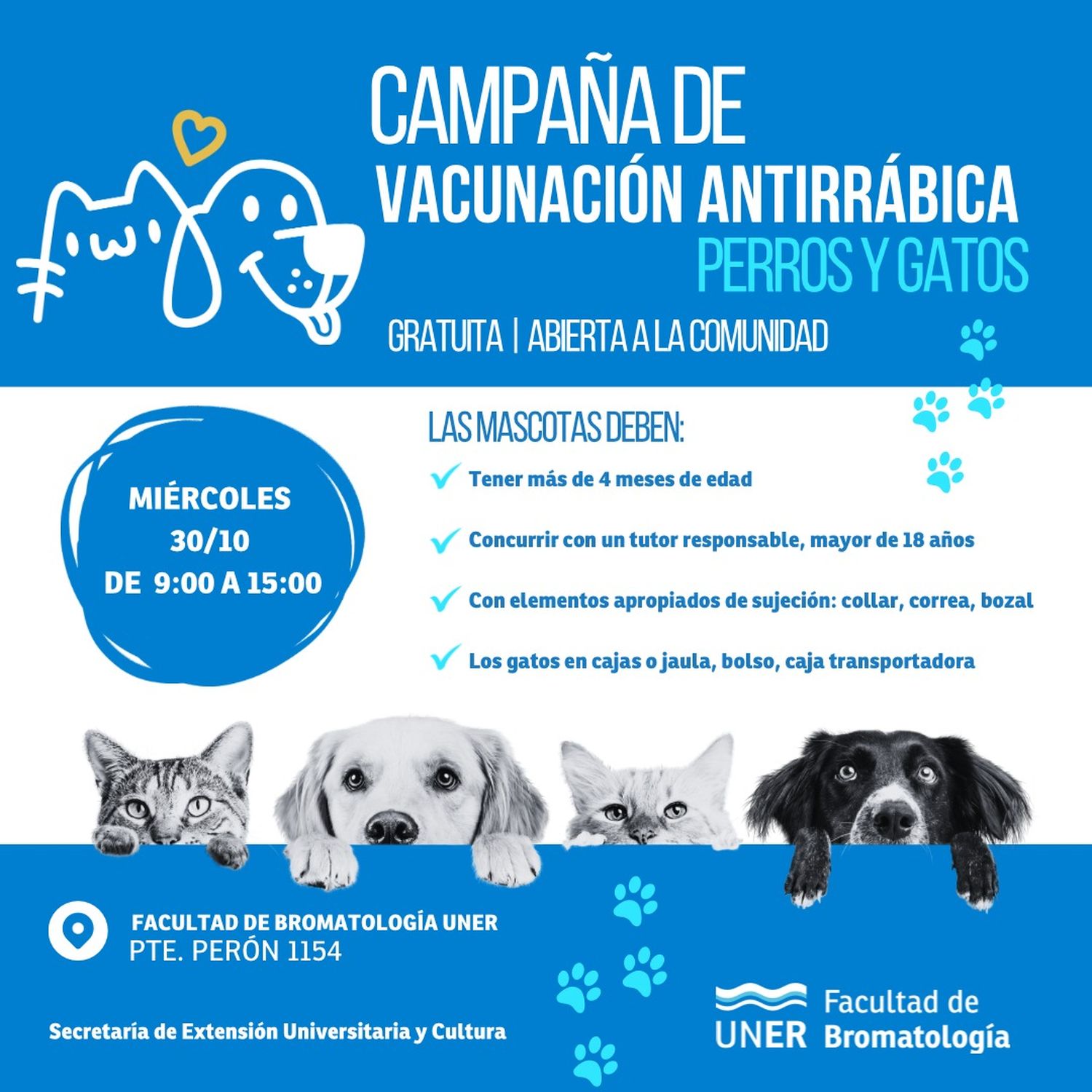 campaña vacunacion