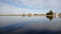 En el sector agropecuario local preocupan los efectos de las lluvias en las cosechas de girasol y papa
