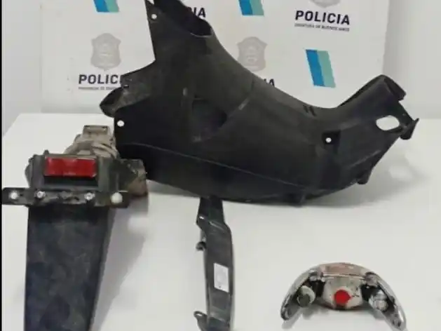 Los elementos recuperados