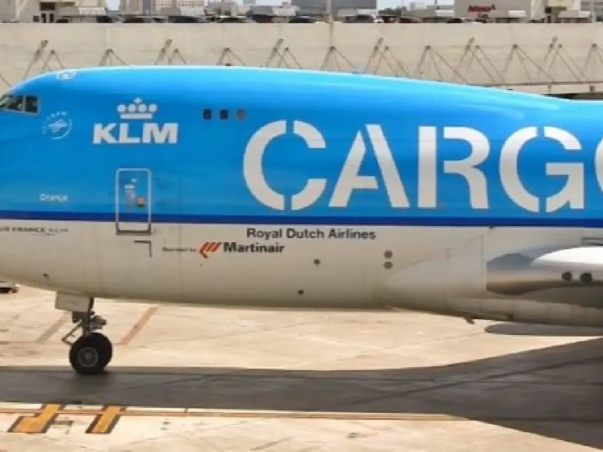 El fiscal de la causa dijo que el secuestro de 84 kilos de cocacína de un avión fue "fortuito"