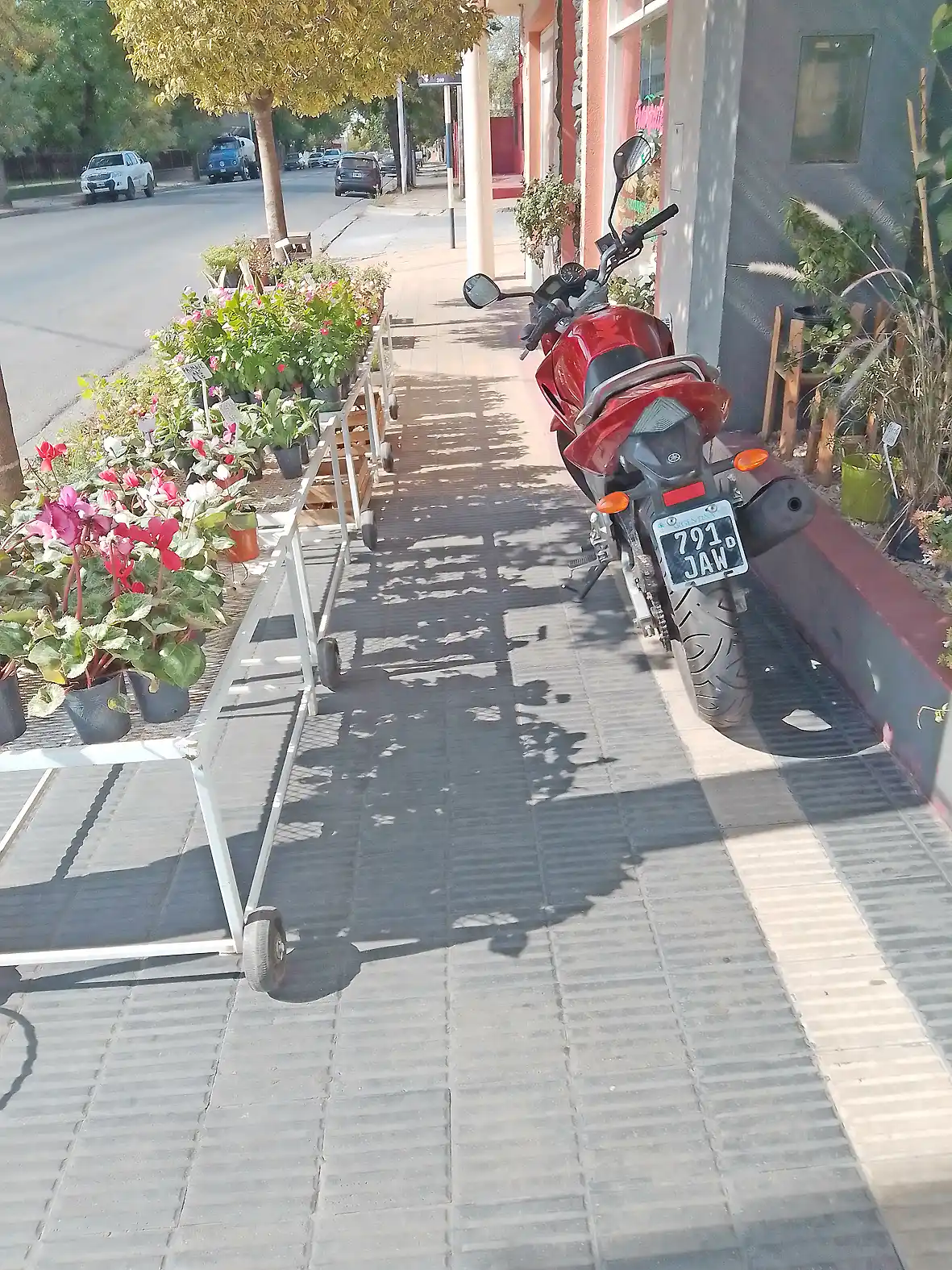 Obstrucción de veredas