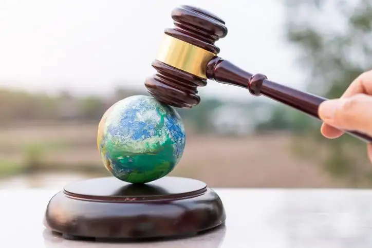 Con 12 leyes de presupuestos mínimos aprobadas por el Congreso desde la reforma se da un entramado sólido constitucional en materia de Ambiente.