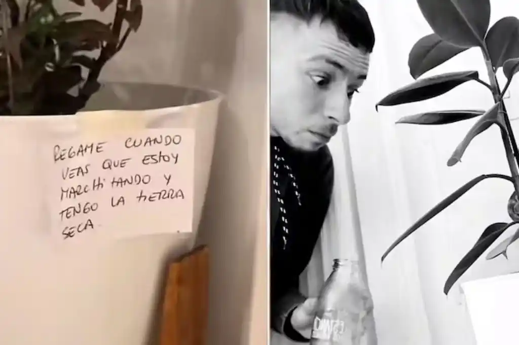 Su hermana lo sorprendió