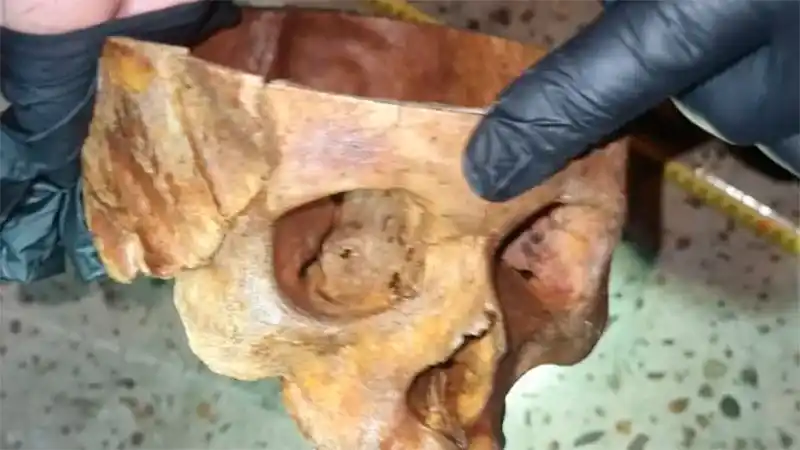 El extraño sucedo ocurrió durante la noche de lunes.