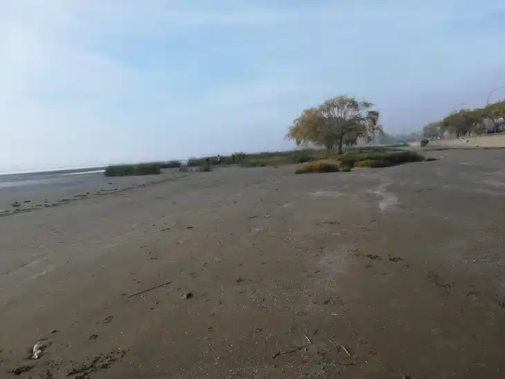 Hallazgo macabro: Encontraron un cráneo y huesos humanos en Punta Lara