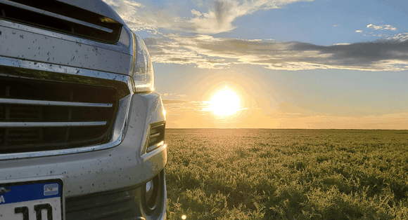 Se necesita un 76% más de trigo para comprar una camioneta que en 2022