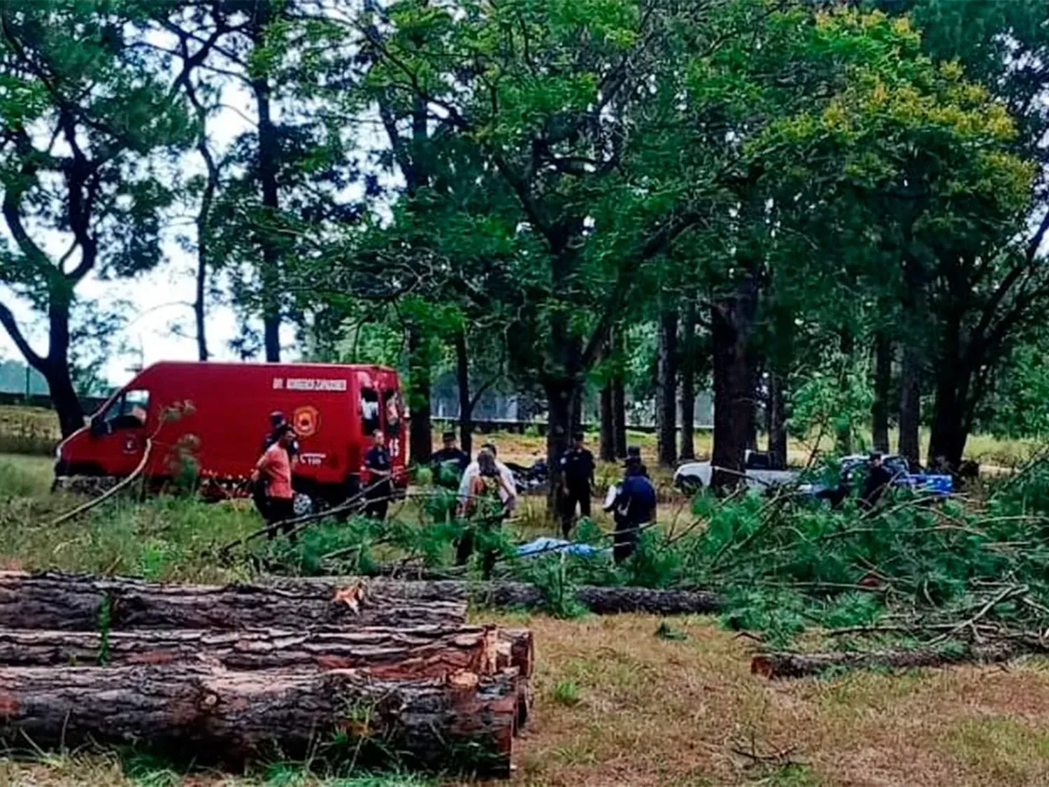 Tragedia en Concordia: trabajador murió al ser aplastado por un árbol