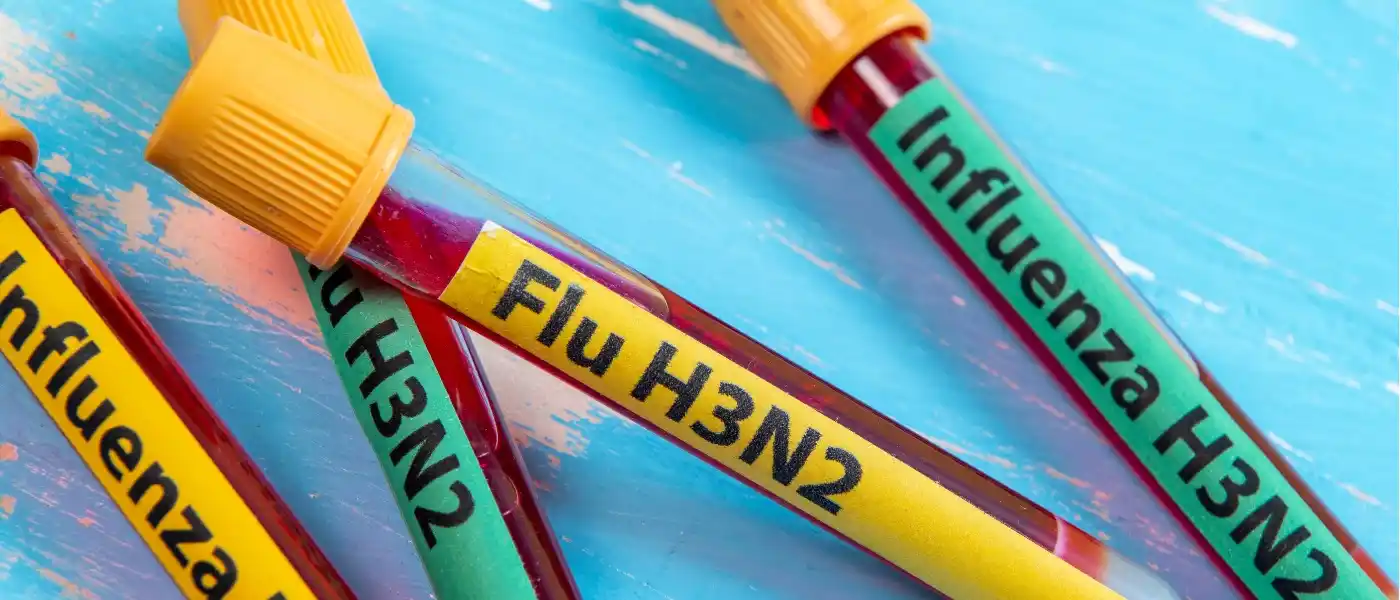 El Gobierno difundió recomendaciones para prevenir la influenza A H3N2 variante K