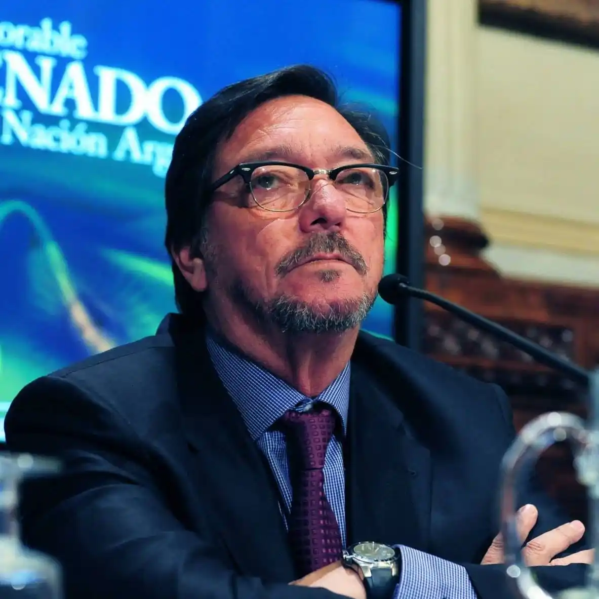 Guastavino continua al frente de la Comisión de Justicia del Senado
