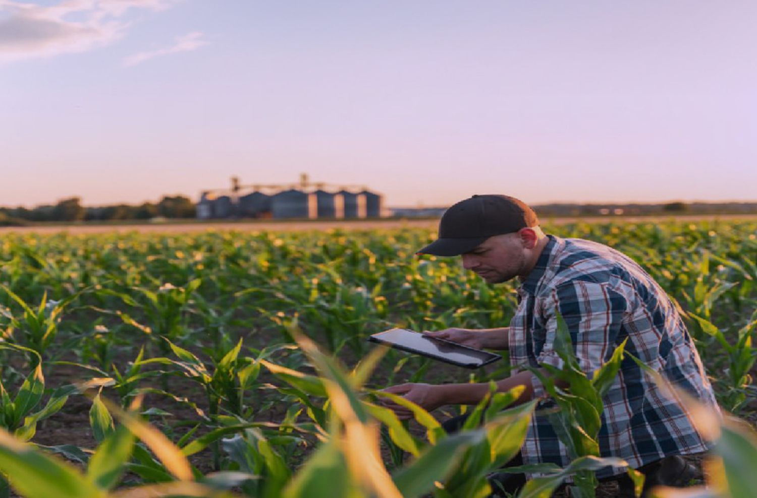 Telecom está presente en Expoagro 2024 brindando nuevas soluciones tecnológicas y más conectividad en la ruralidad