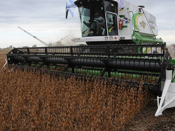 La cosecha anual de soja llegó a los 50,3 millones de toneladas