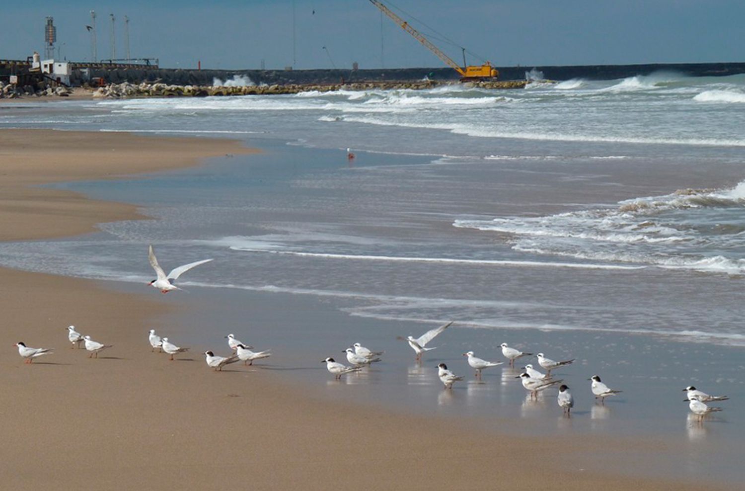 Una Mar del Plata a puro sol