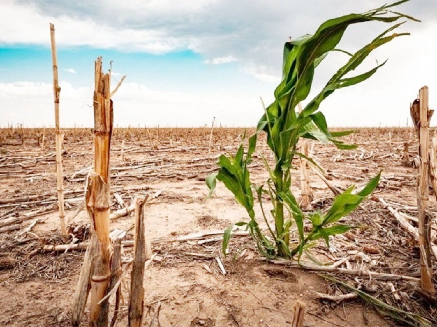 La Niña se instala en Argentina: qué cambios climáticos se esperan en los próximos meses