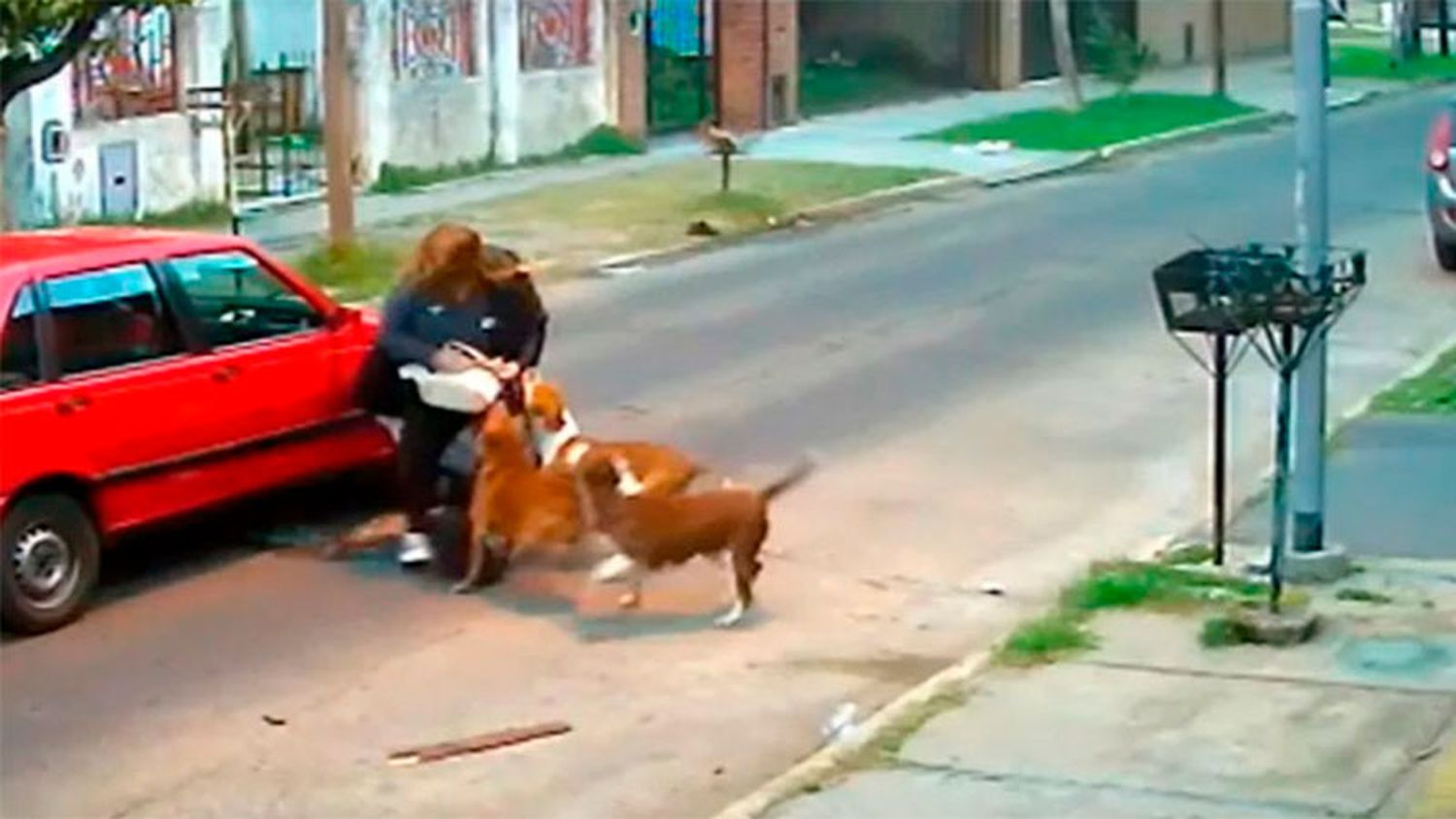 Regresaba de hacer las compras y fue atacada por tres perros