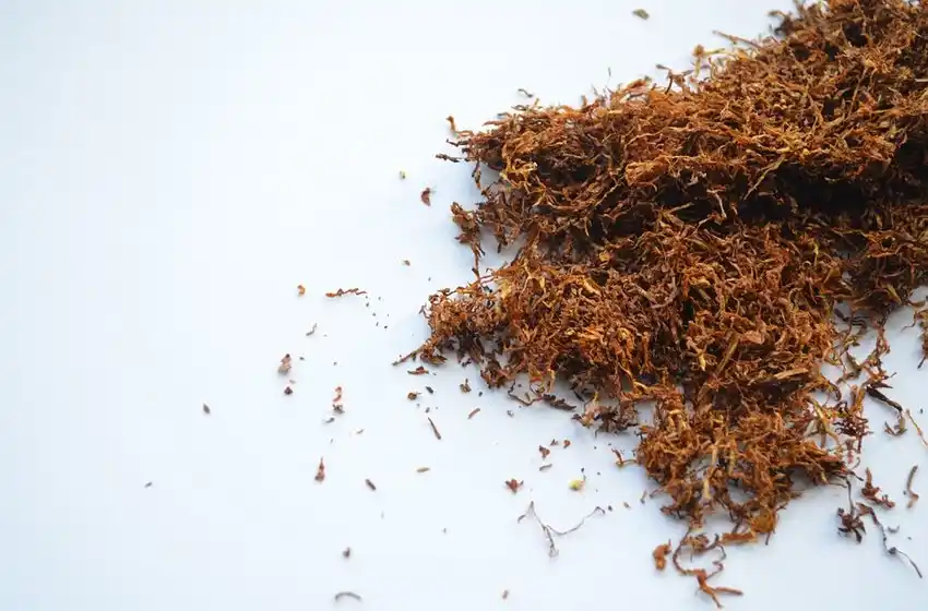 Las adicciones pueden ser la causa de factores genéticos