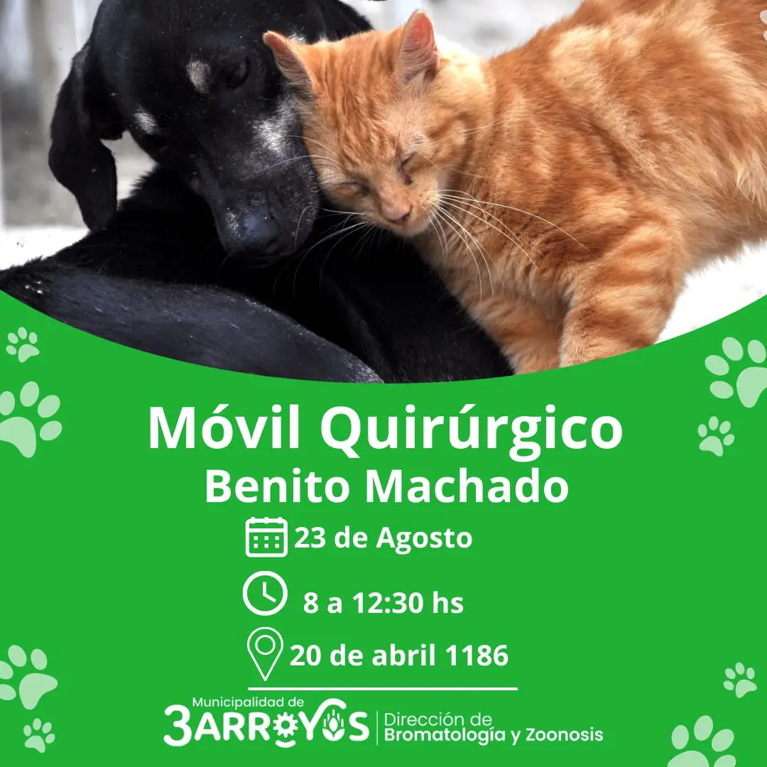 Castraciones gratuitas en Barrio Benito Machado y Cascallares