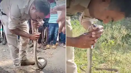 "Estaba inconsciente. La sacamos y tratamos de reanimarla enjuagándole la boca con agua", contó su rescatista.