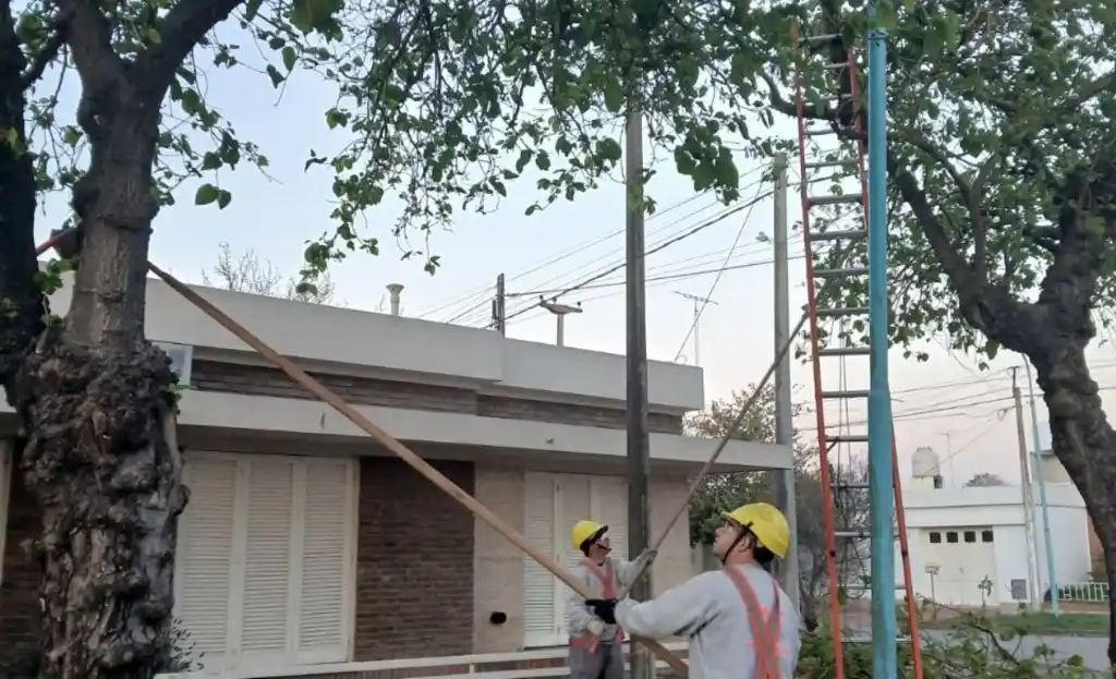 Continúan las tareas de poda en distintos sectores de la ciudad