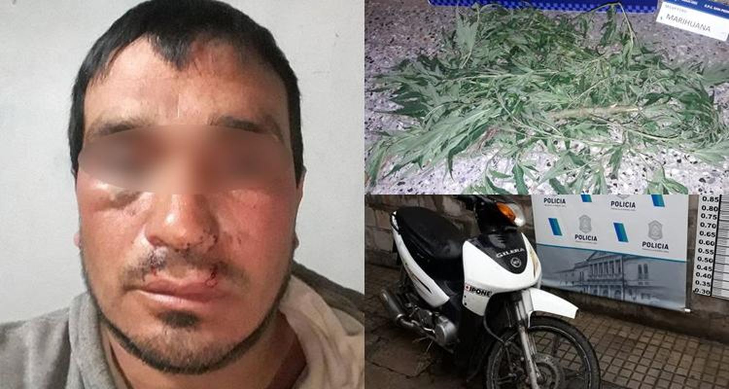 Llevaba una planta de marihuana, lo aprehendieron y denunció abuso de autoridad