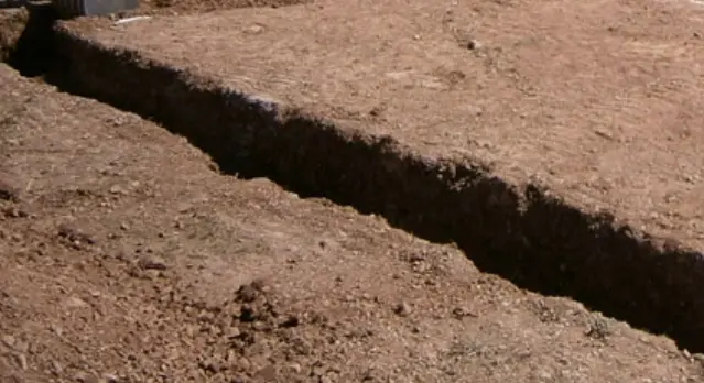 Halló un cráneo mientras construía el cimiento de una obra en La Plata 1450