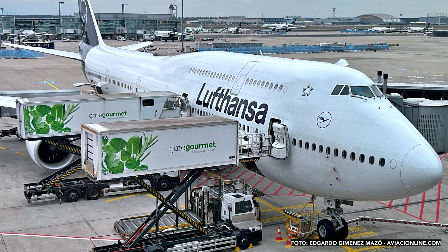 Lufthansa - Boeing 747-8 - Frankfurt