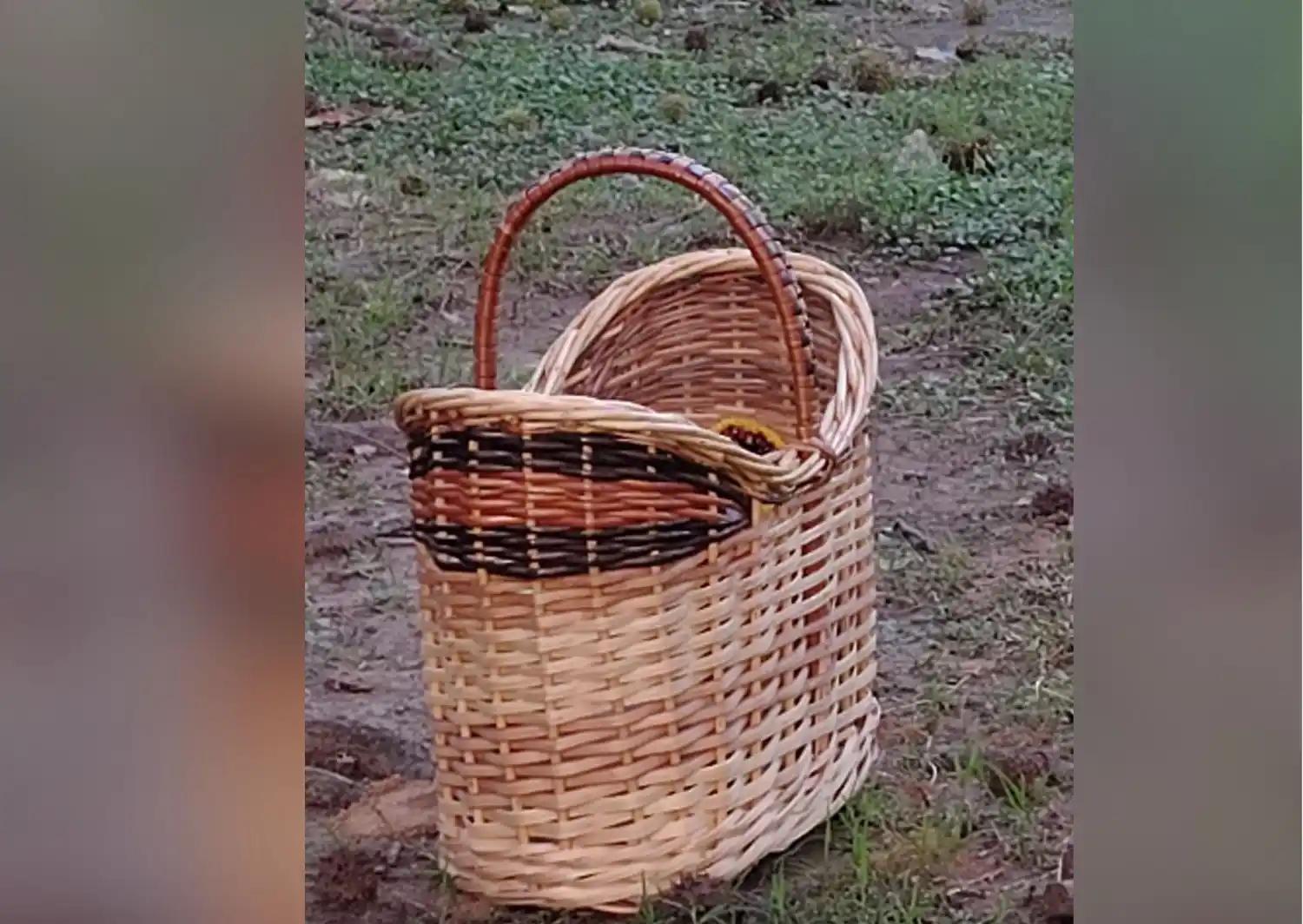 Encontraron una canasta en el Paseo Público