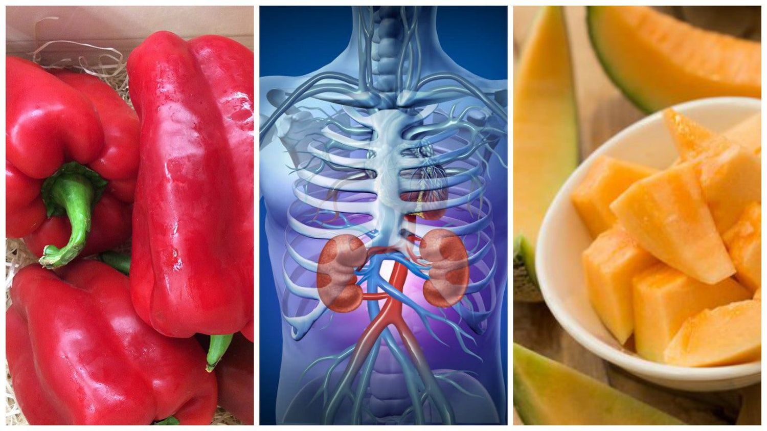 ¿Qué debes comer para limpiar tus riñones?