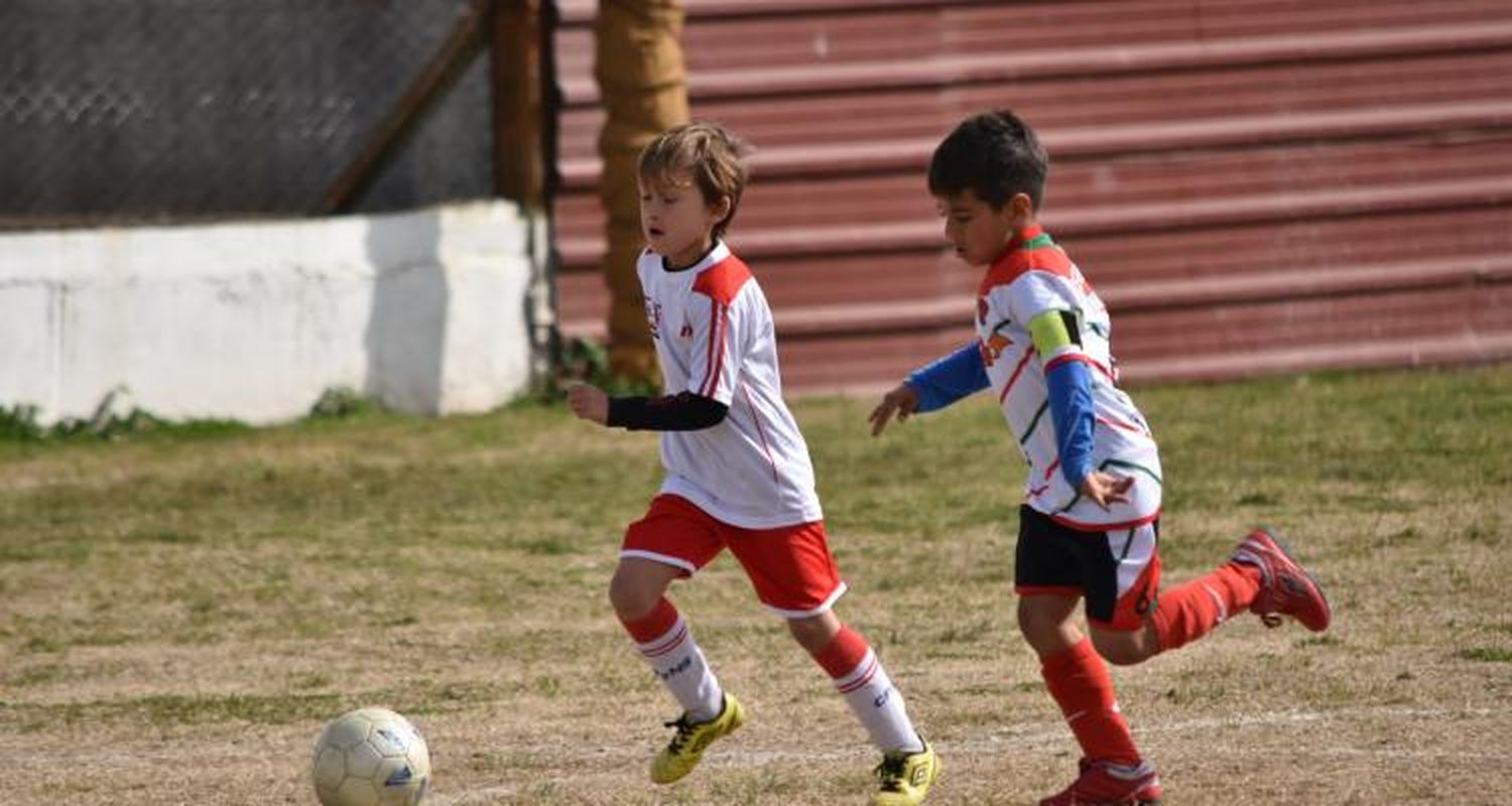 Culminó el Apertura de la Liga Infantil