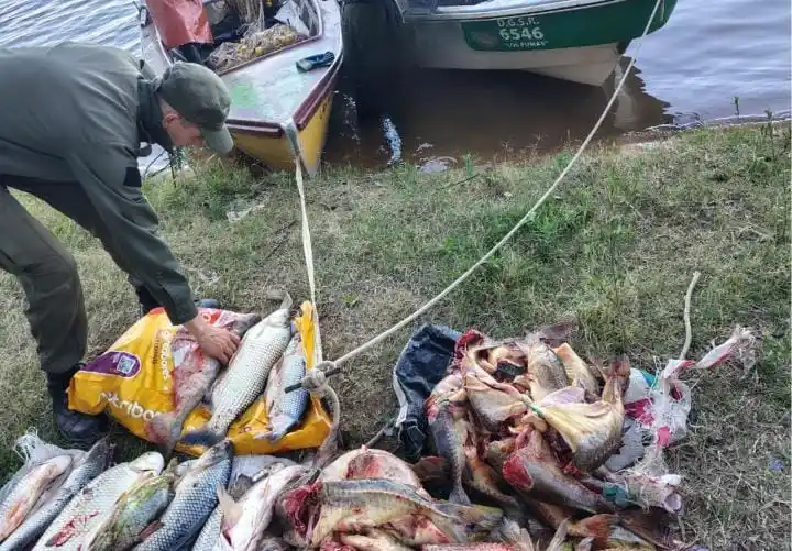 “Los Pumas” secuestraron armas, municiones, pescados y carne de dudosa procedencia en distintos operativos - 3