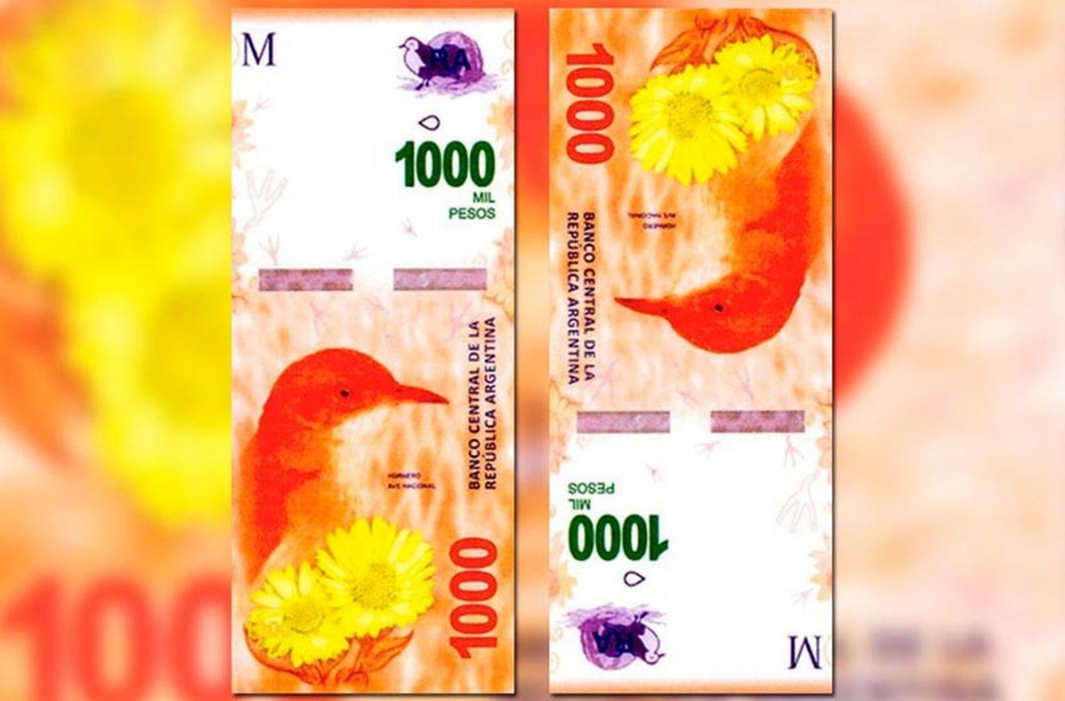 El nuevo billete de 1.000 pesos entra en circulación