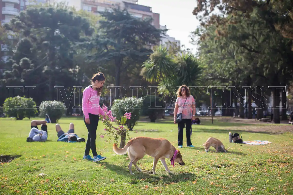 Se aprobó la construcción de 16 plazas en Mar del Plata