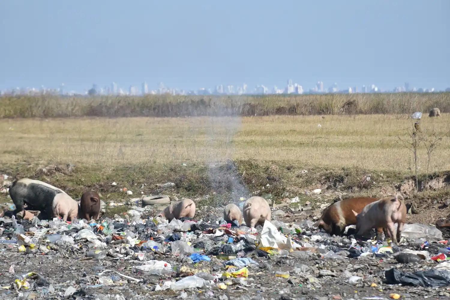 Arroyo Leyes: marcha y petitorio para reclamar por el basural a cielo abierto