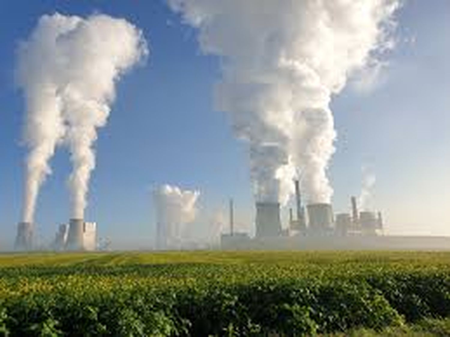¡BUENA NOTICIA! Disminuyen las emisiones de gases de efecto invernadero