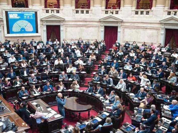 Diputados: la oposición busca los votos 
para insistir con las leyes vetadas por Milei