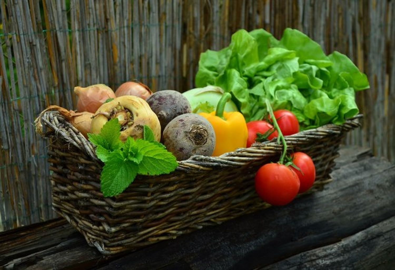 HUERTA DOMICILIARIA: técnicas para cosechar lo cultivado de acuerdo a cada variedad