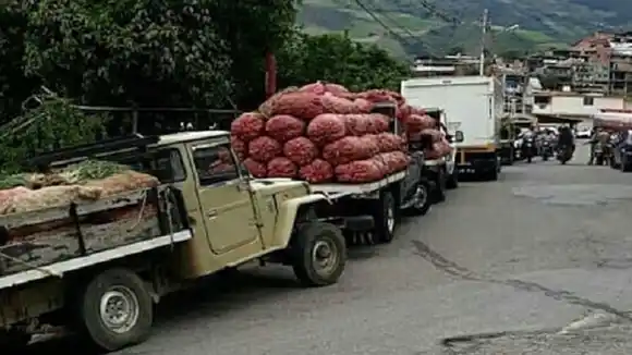 ¡LAMENTABLE! 25 mil toneladas de alimentos se pierden a la semana por falta de gasoil