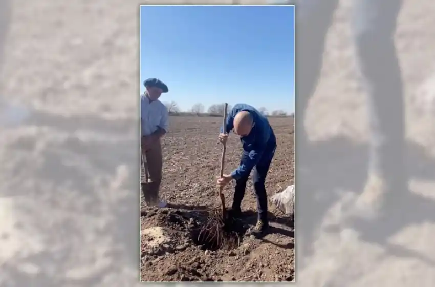 Abel Pintos ya está plantando más de 6.000 árboles en Mercedes