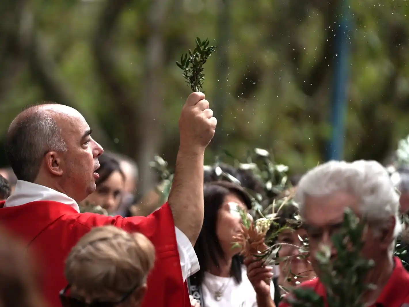 Fe. Domingo de Ramos con gran participación