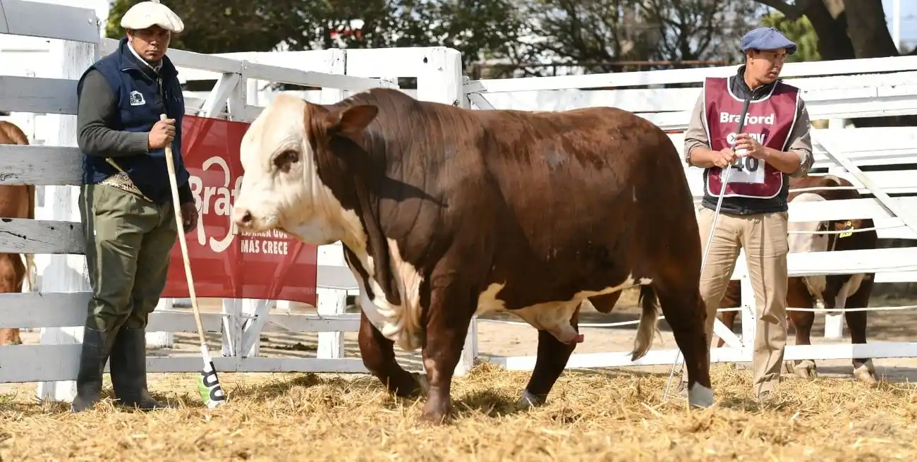 La Expo Rural de San Justo alcanzó un reconocimiento histórico como evento Promocionado por Braford Argentina
