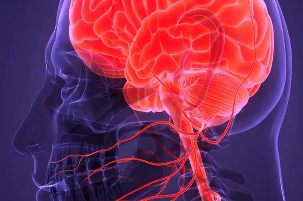 El cerebro humano revive “la película de la vida” antes de morir