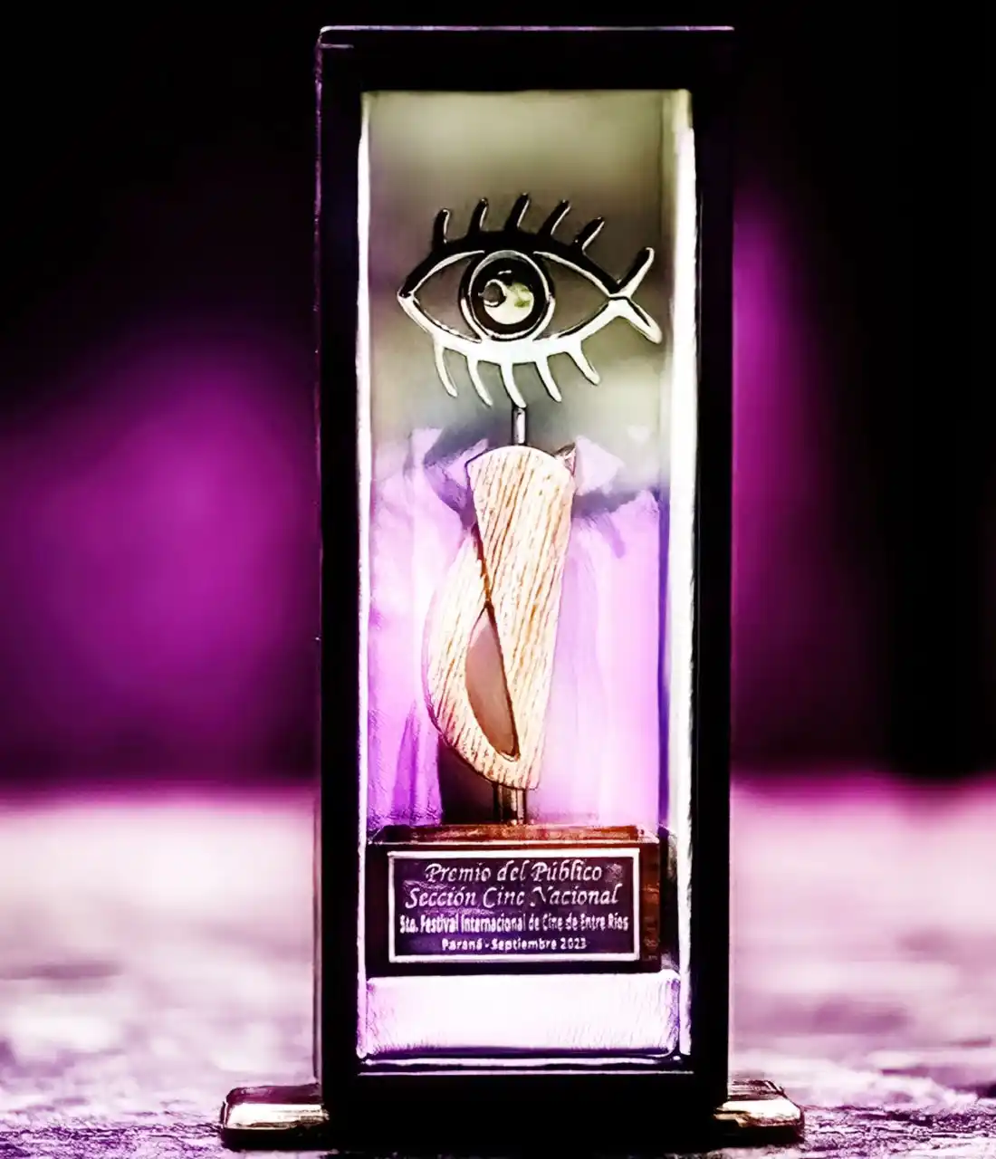 En el Ficer el público es protagonista