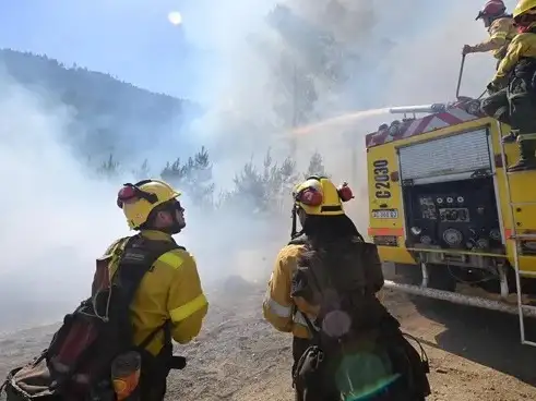 El incendio forestal afectó a viviendas y provocó evacuaciones.